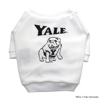 YALEダンプリントワッフルTシャツ（ホワイト）