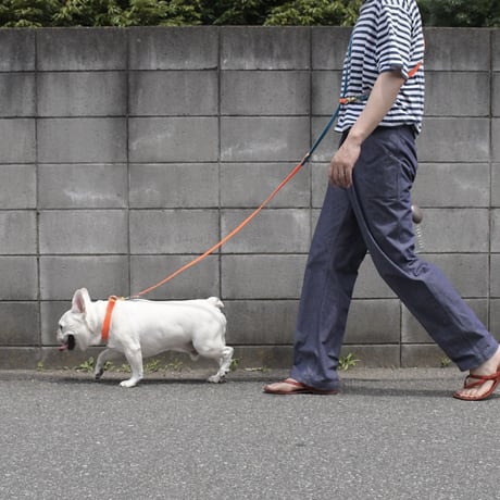 Convertible  Brass Leash （Red/Bluebird）