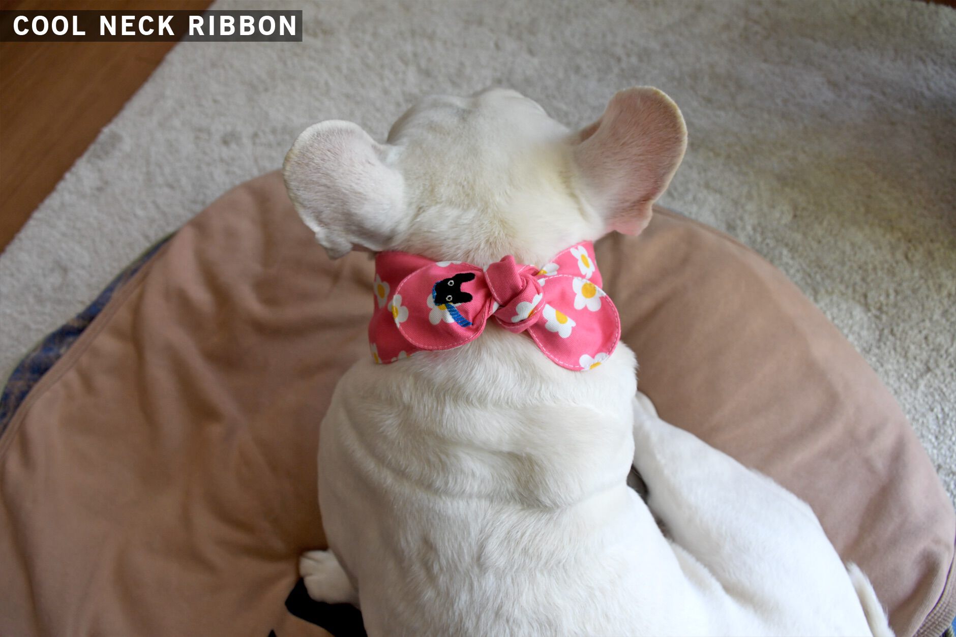 Bowders Border | バウダーズボーダー | フレンチブルドッグの犬服と雑貨
