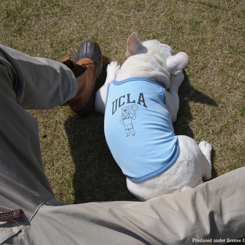 アメフト UCLA Bruins フード付タンクトップ Lサイズ【新品】 アメフト UCLA Bruins フード付タンクトップ Lサイズ【新品】