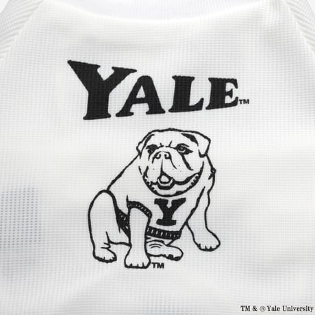 YALEダンプリントワッフルTシャツ（ホワイト）