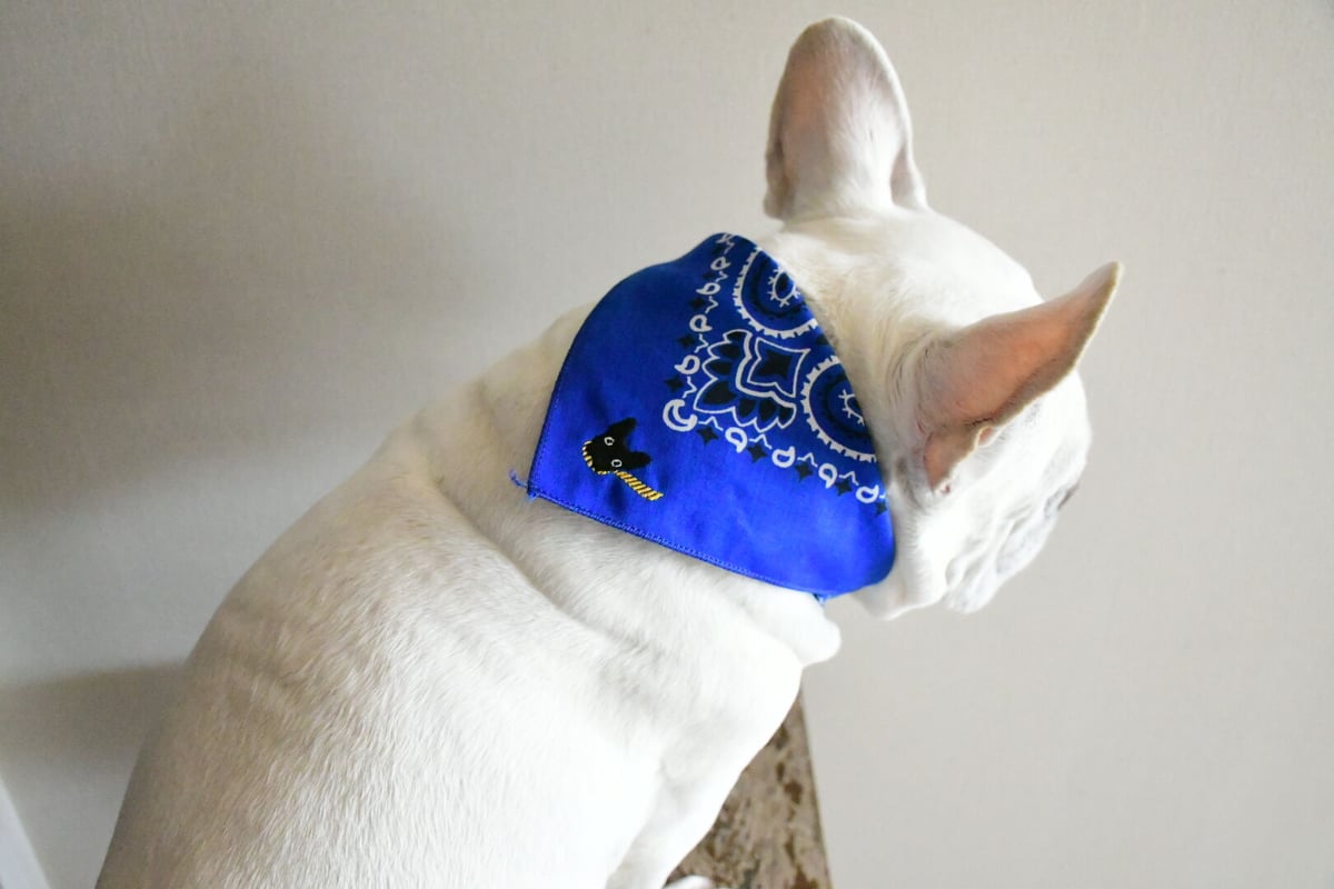 美品✨45R ku・Ra・siバンダナ刺繍ポンチョ　グレー　花柄 45R】バンダナ｜GOODSアイテム｜1977年創業、日本の服。丈夫で