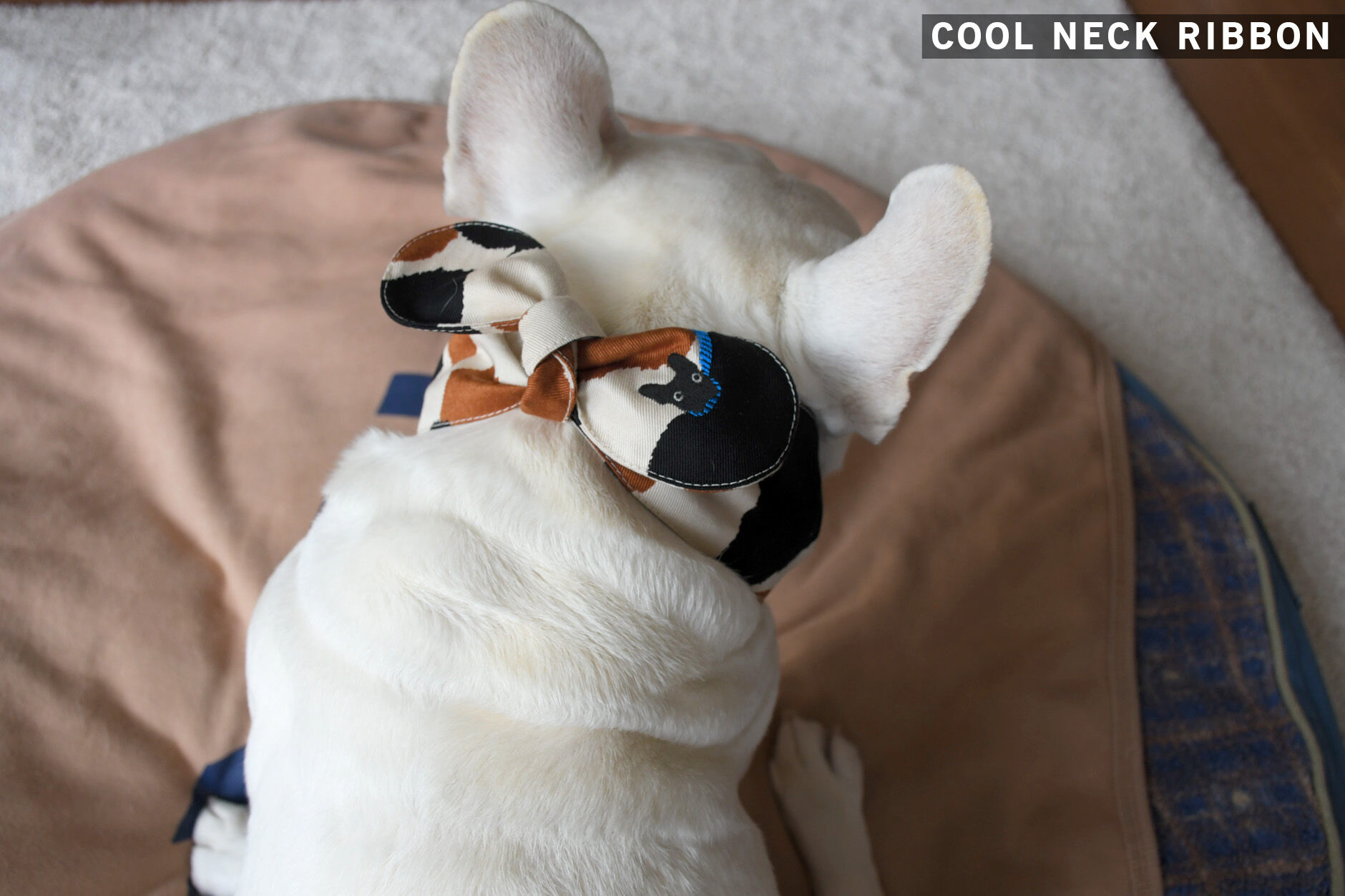 Bowders Border | バウダーズボーダー | フレンチブルドッグの犬服と雑貨