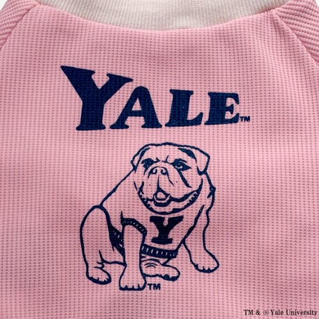 YALEダンプリントワッフルTシャツ（ピンク）