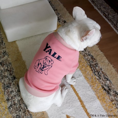 YALEダンプリントワッフルTシャツ（ピンク）