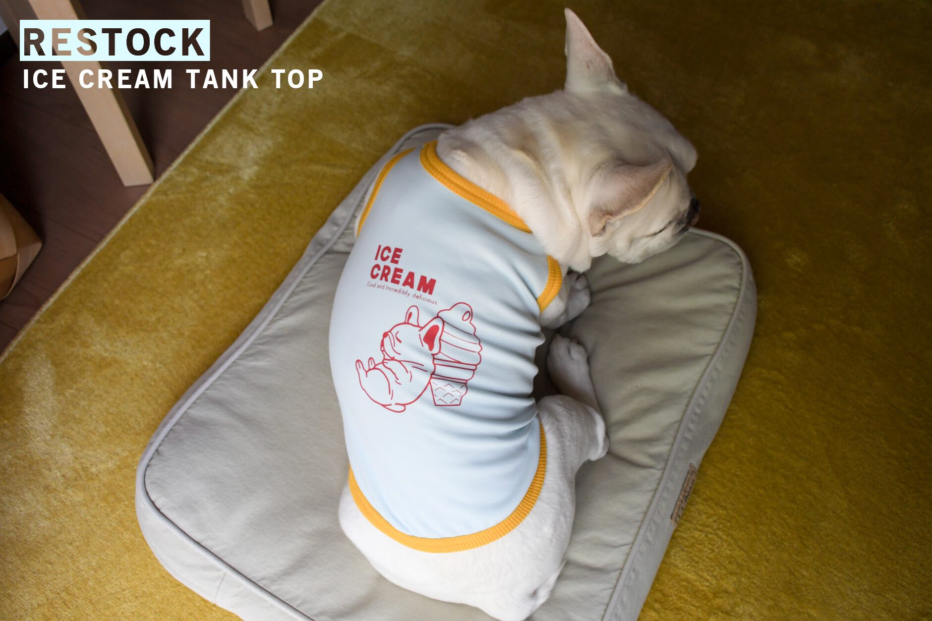 Bowders Border | バウダーズボーダー | フレンチブルドッグの犬服と雑貨