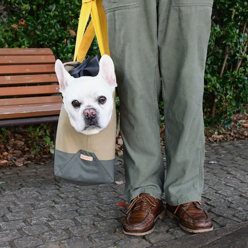 ドッグキャリーキャンバストートバッグ（ベージュ×イエロー