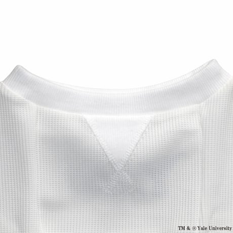 YALEダンプリントワッフルTシャツ（ホワイト）