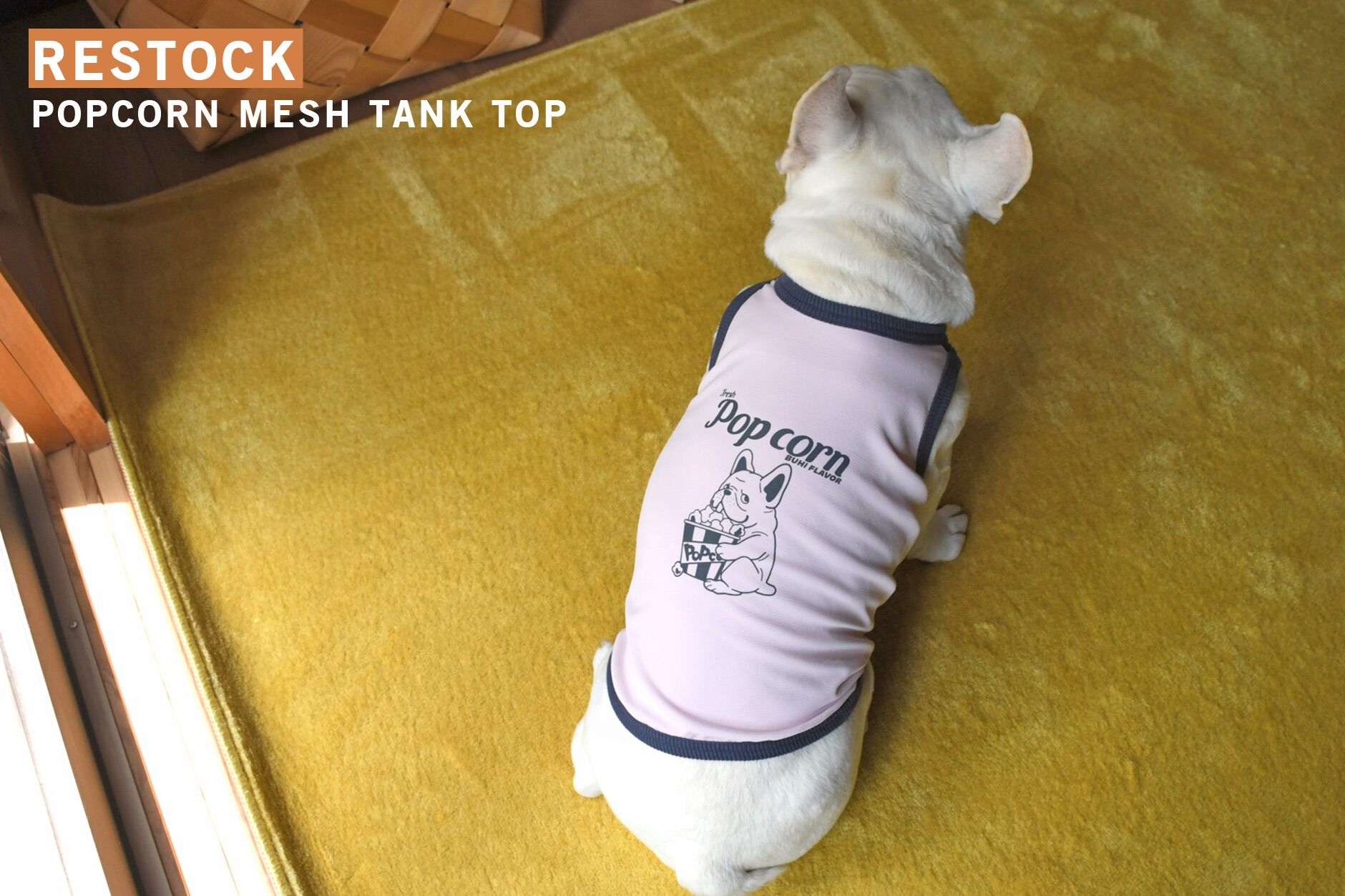 Bowders Border | バウダーズボーダー | フレンチブルドッグの犬服と雑貨