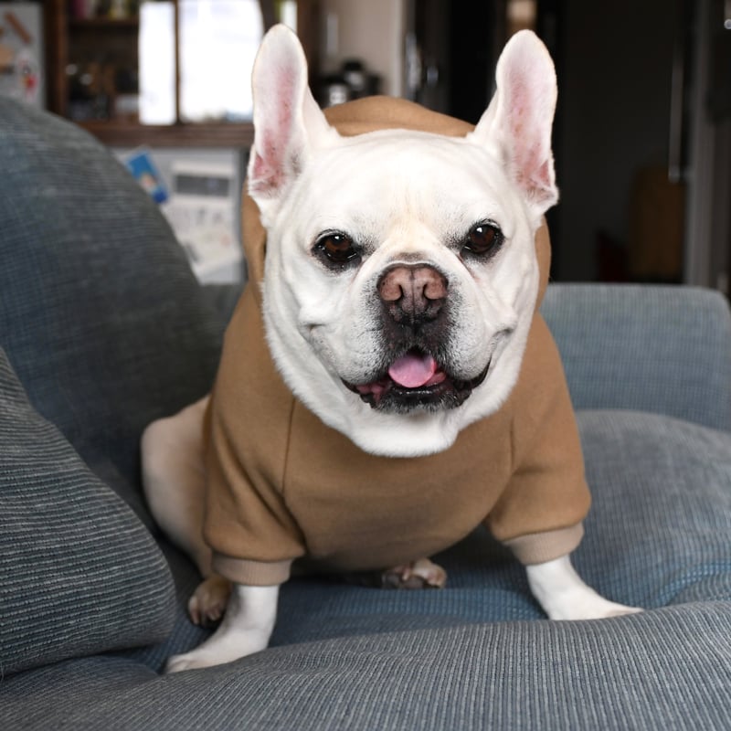 レクサスブリーフィング MS ストームフリースパーカー ベージュ Mサイズ レクサス様専用ブリーフィング MS ストームフリースパーカー