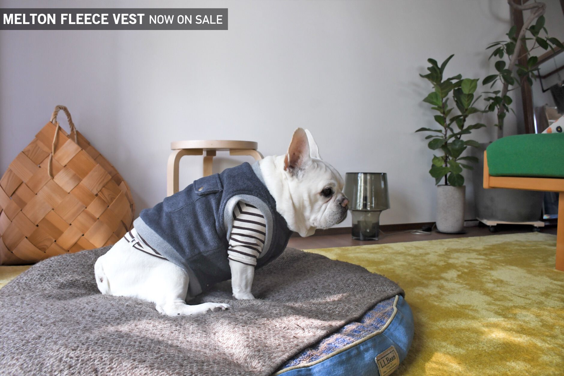 Bowders Border | バウダーズボーダー | フレンチブルドッグの犬服と雑貨