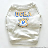 USAカレッジプリントトレーナー（UCLA/オートミール）