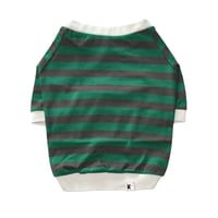 40/2天竺ボーダーTEE（グリーン×ダークグレー）