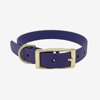 Classic Brass Collar （Violet）