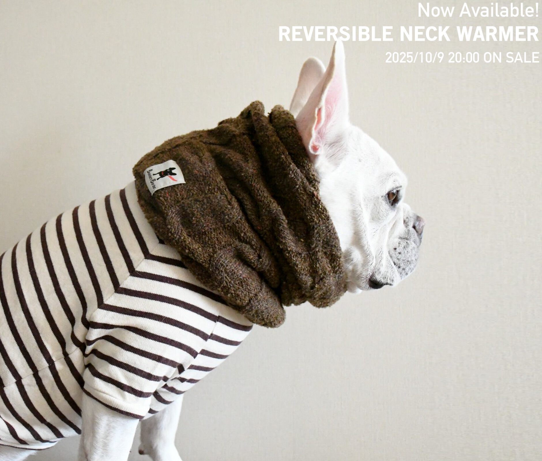 bondir 犬服 ゼブラセーター F5 フレンチブルドッグ