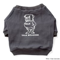 YALE BULLDOGSワッフルTシャツ（チャコールグレー）