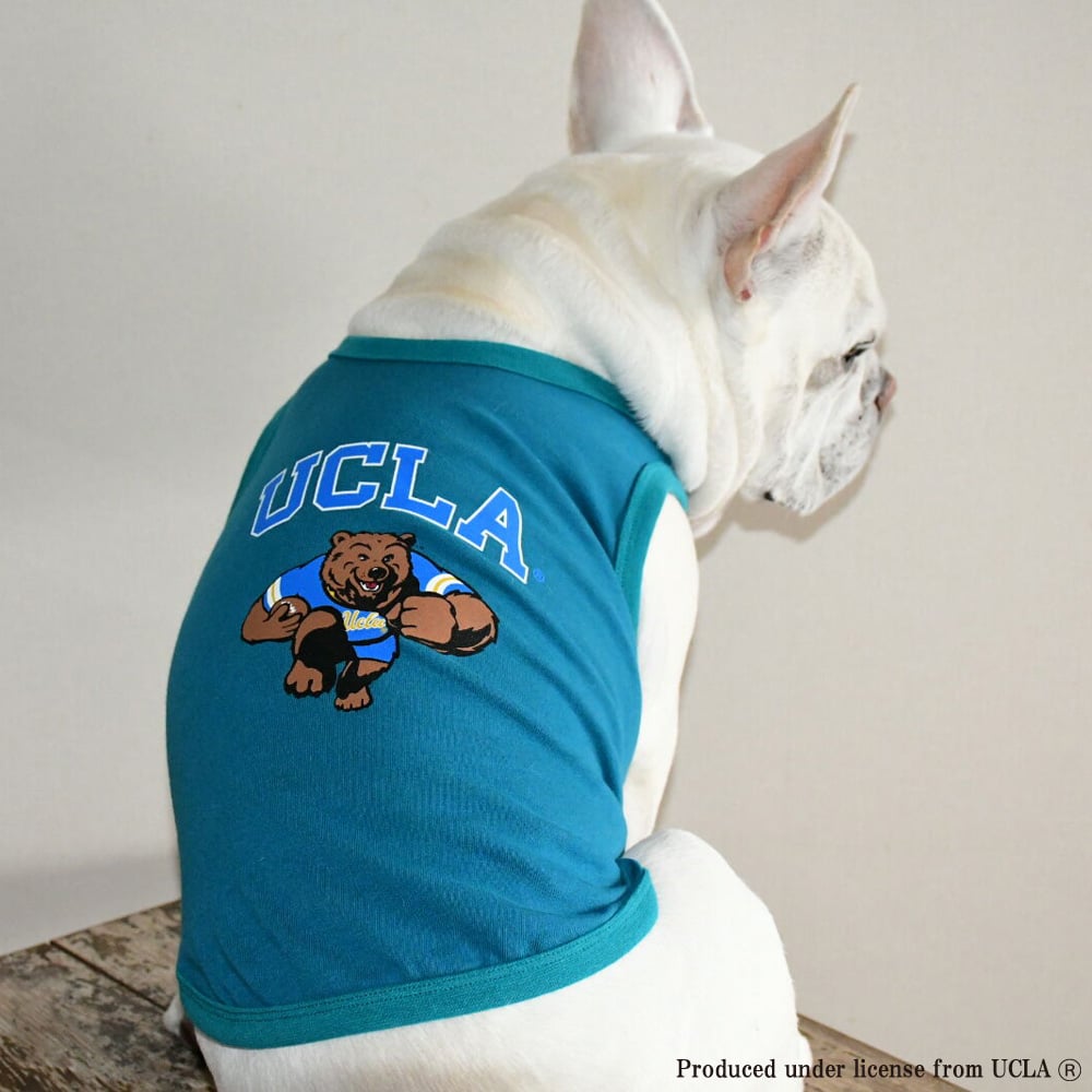 アメフト UCLA Bruins フード付タンクトップ Lサイズ【新品】 アメフト UCLA Bruins フード付タンクトップ Lサイズ【新品