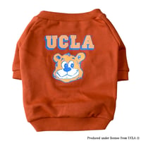 UCLAカレッジプリントスウェット（ベイクドメイプル）