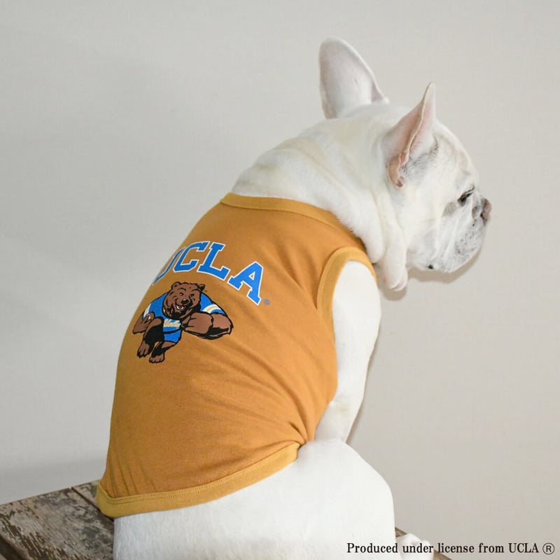 アメフト UCLA Bruins フード付タンクトップ Lサイズ【新品】 アメフト UCLA Bruins フード付タンクトップ Lサイズ【新品】