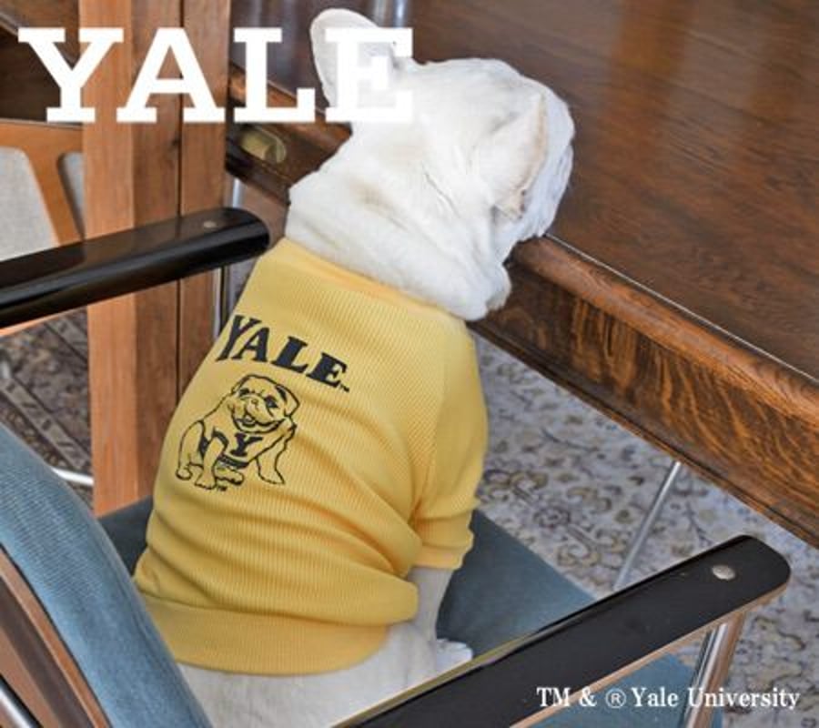 Bowders Border | バウダーズボーダー | フレンチブルドッグの犬服と雑貨