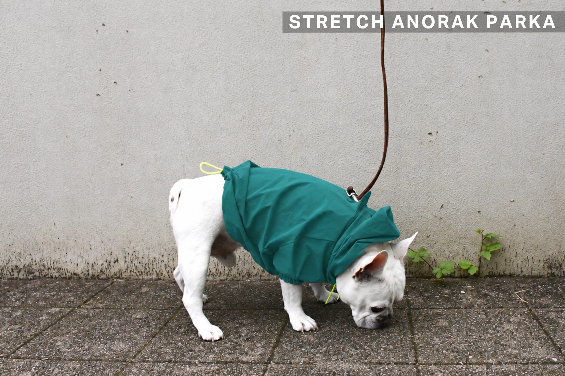 Bowders Border | バウダーズボーダー | フレンチブルドッグの犬服と雑貨