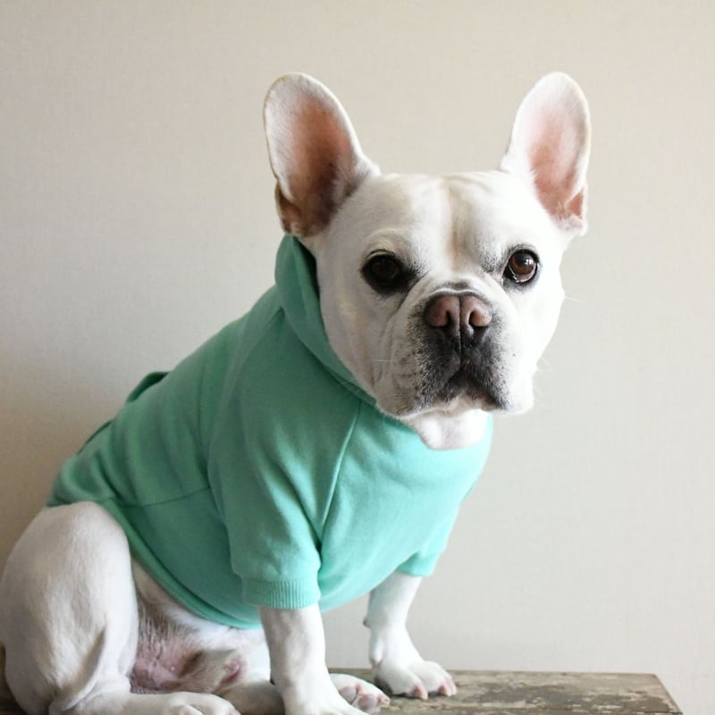 スウェットパーカー（ミントグリーン） | Bowders Border | バウダーズ