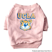 UCLAカレッジプリントスウェット（ピンク）