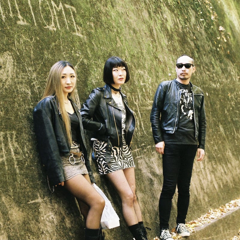 ■[廃盤] THE VITRIOL(FINLANDS)アルバムCD「April」 □[廃盤] THE VITRIOL(FINLANDS)アルバムCD「April」 Amazon.co