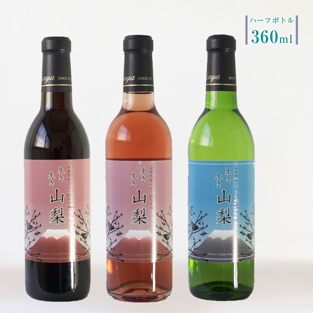 ワイン　山梨 山梨のワイン飲み切りハーフボトル5本セット（CKH）B18-770