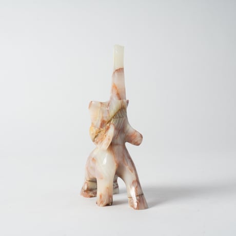 raised trunk elephant