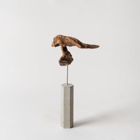 emu