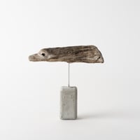 seal