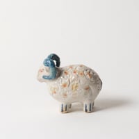 blue horn sheep