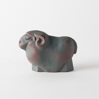 sleeping sheep
