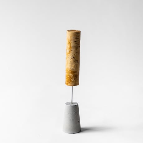 ice pop