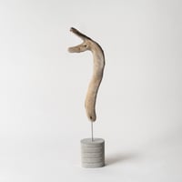 llama