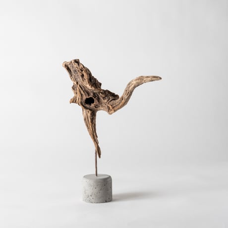 ostrich_A