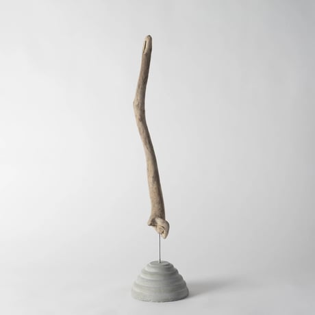 horn_B