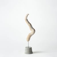 horn_A