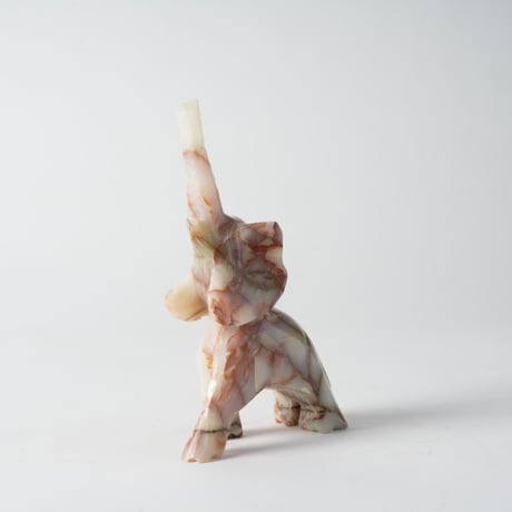 raised trunk elephant
