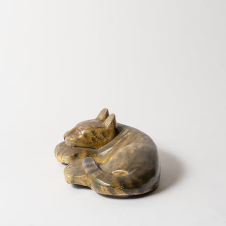 flat cat or tiger