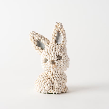shell rabbit