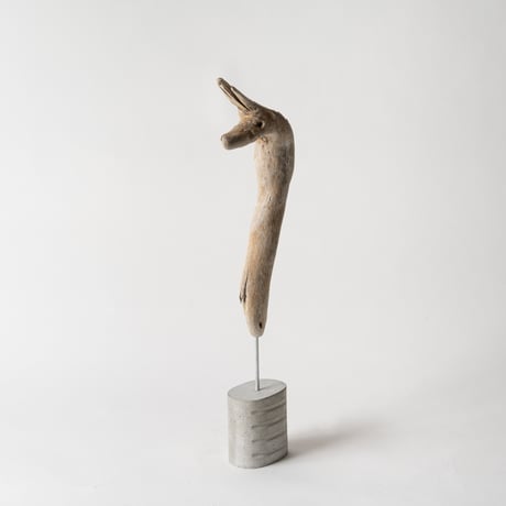 llama