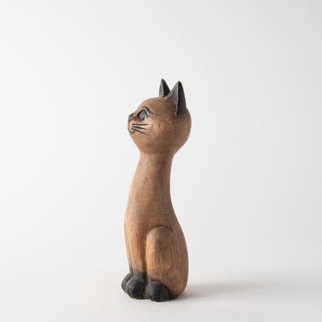 round eyes cat