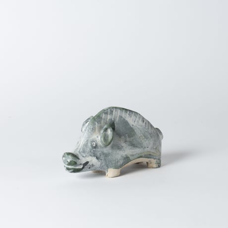 boar or pig