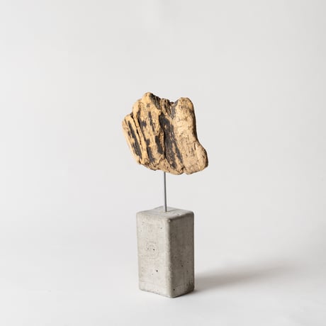 spalted_B