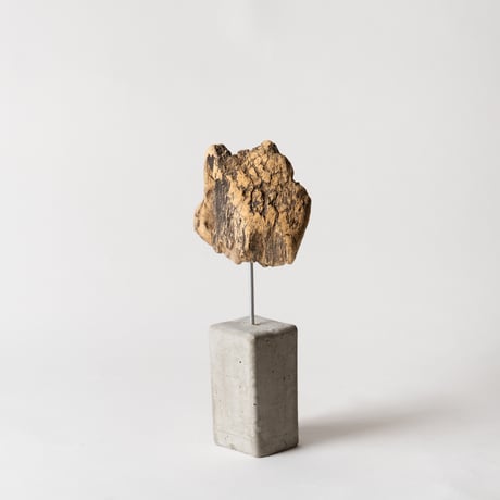 spalted_B