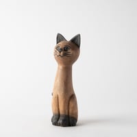 round eyes cat