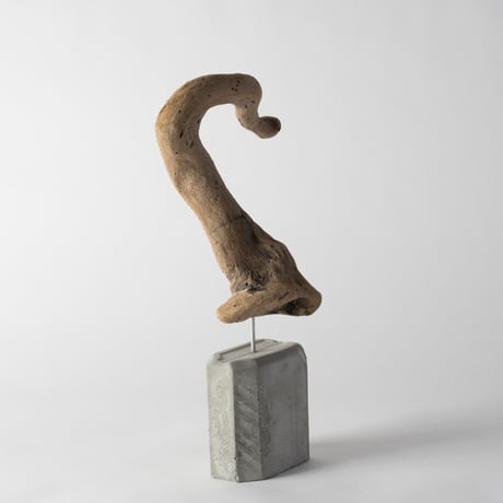plesiosaur_B