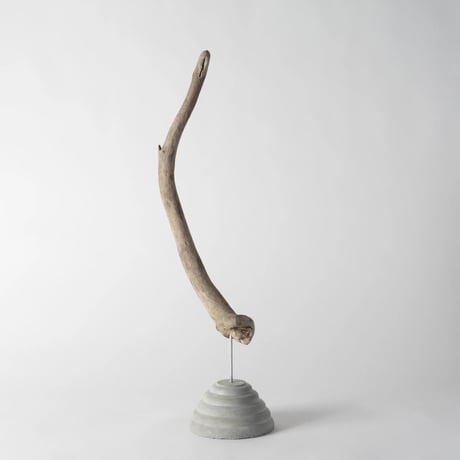horn_B